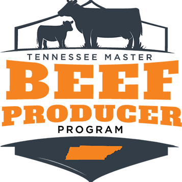 Master Beef Produce Program Logo 