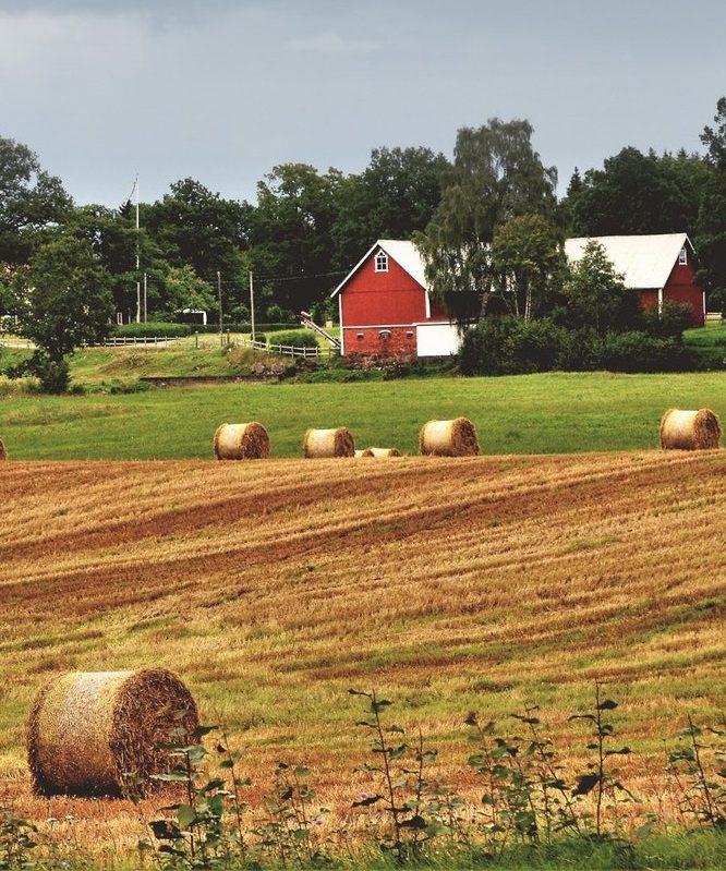 Red barn with bails of hay in field 